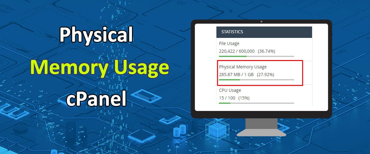 Physical Memory Usage in cPanel