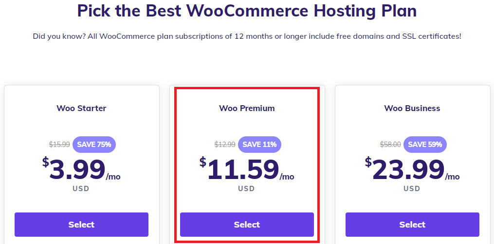 hostinger woocommerce premium plan