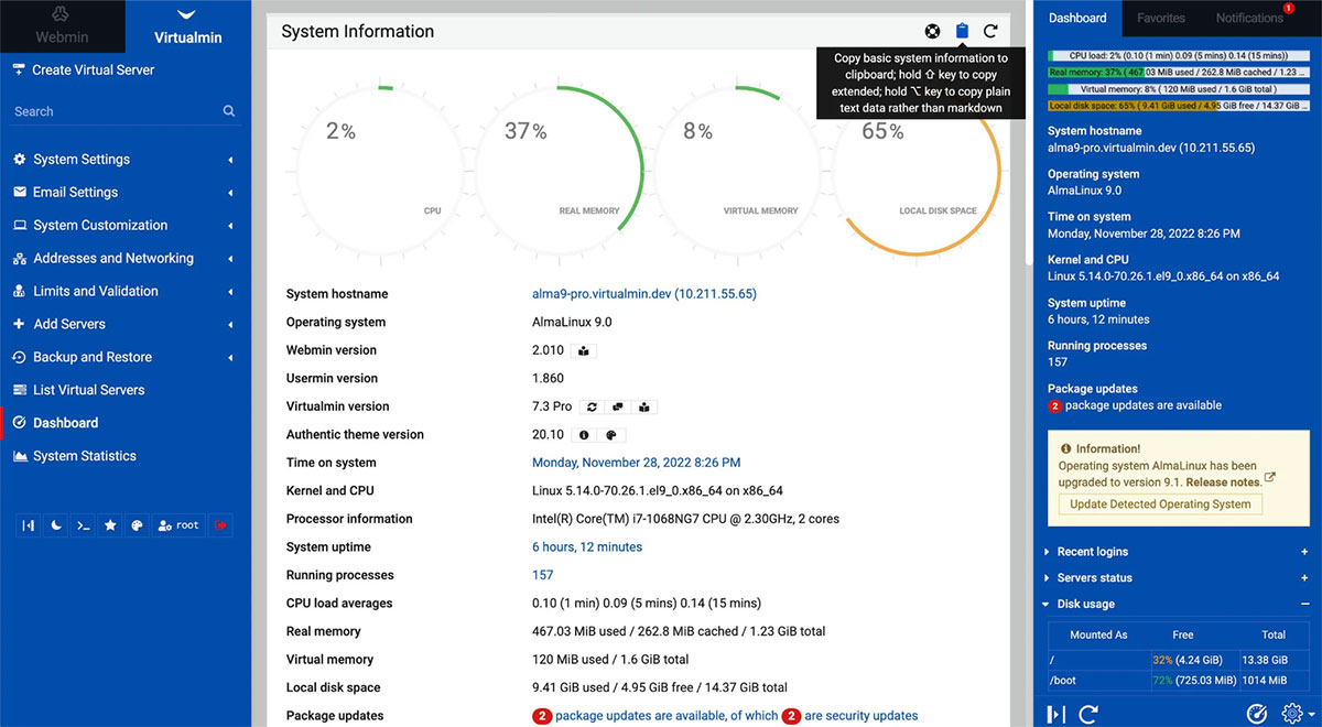 virtualmin control panel overview