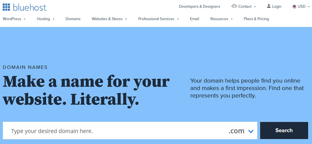 bluehost domain names