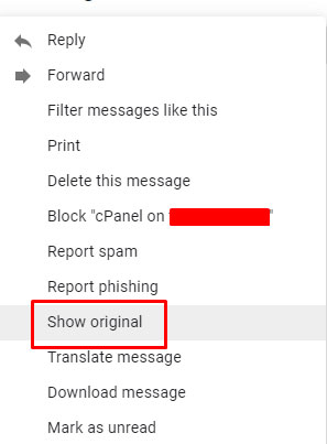 email show original