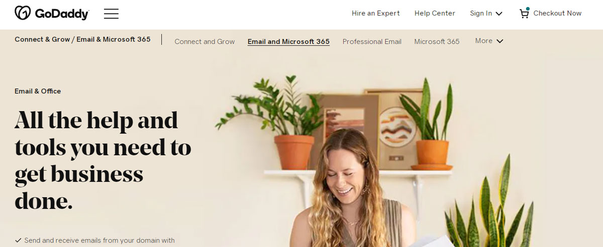 Godaddy Email Landing Page