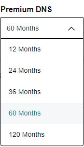 Godaddy Premium Dns - Payment Terms