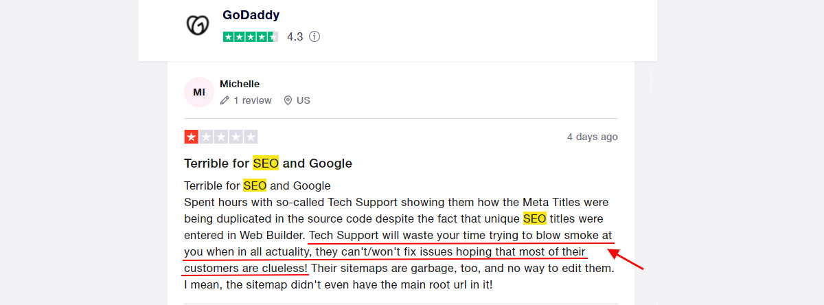 Godaddy TrustPilot Staff Performance Review