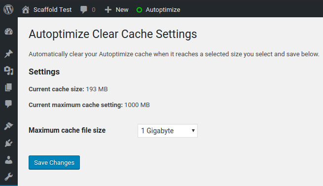 clear Autoptimize cache