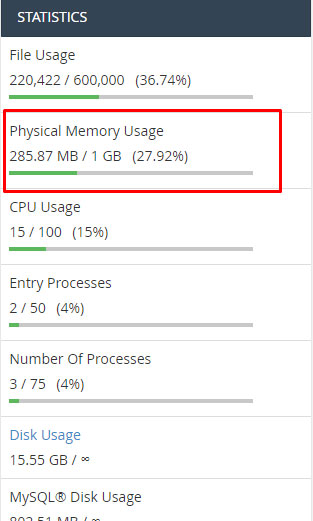 physical memory usage