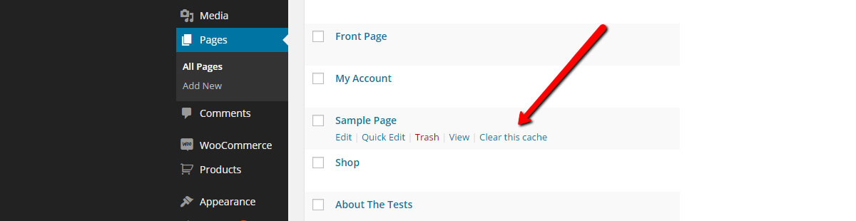WP Rocket Plugin Clear Cache Of Single Page