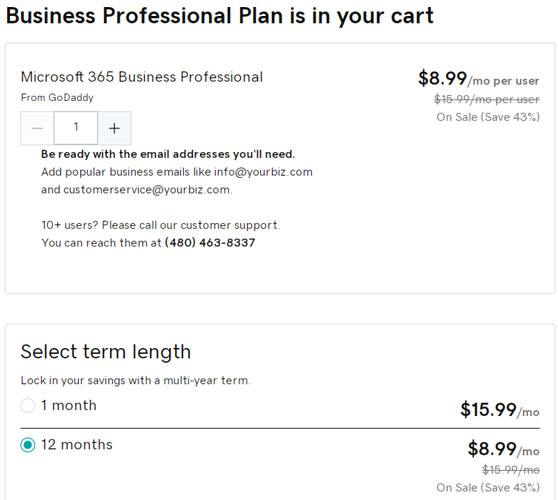 Godaddy Online Business Professional Plan Price